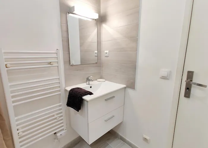 Apartament Le Nid Du Pont Neuf Pamiers