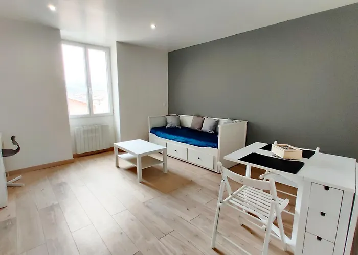 Le Nid Du Pont Neuf Pamiers