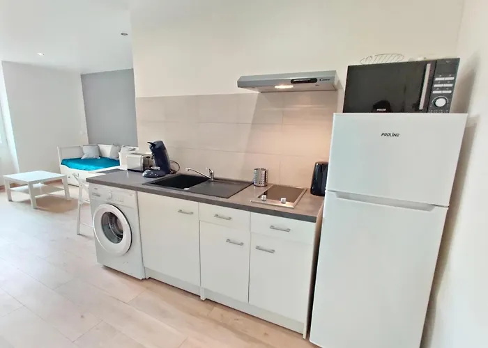 Le Nid Du Pont Neuf * Pamiers