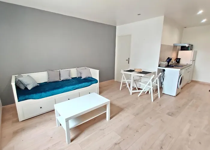 Le Nid Du Pont Neuf Apartament Pamiers